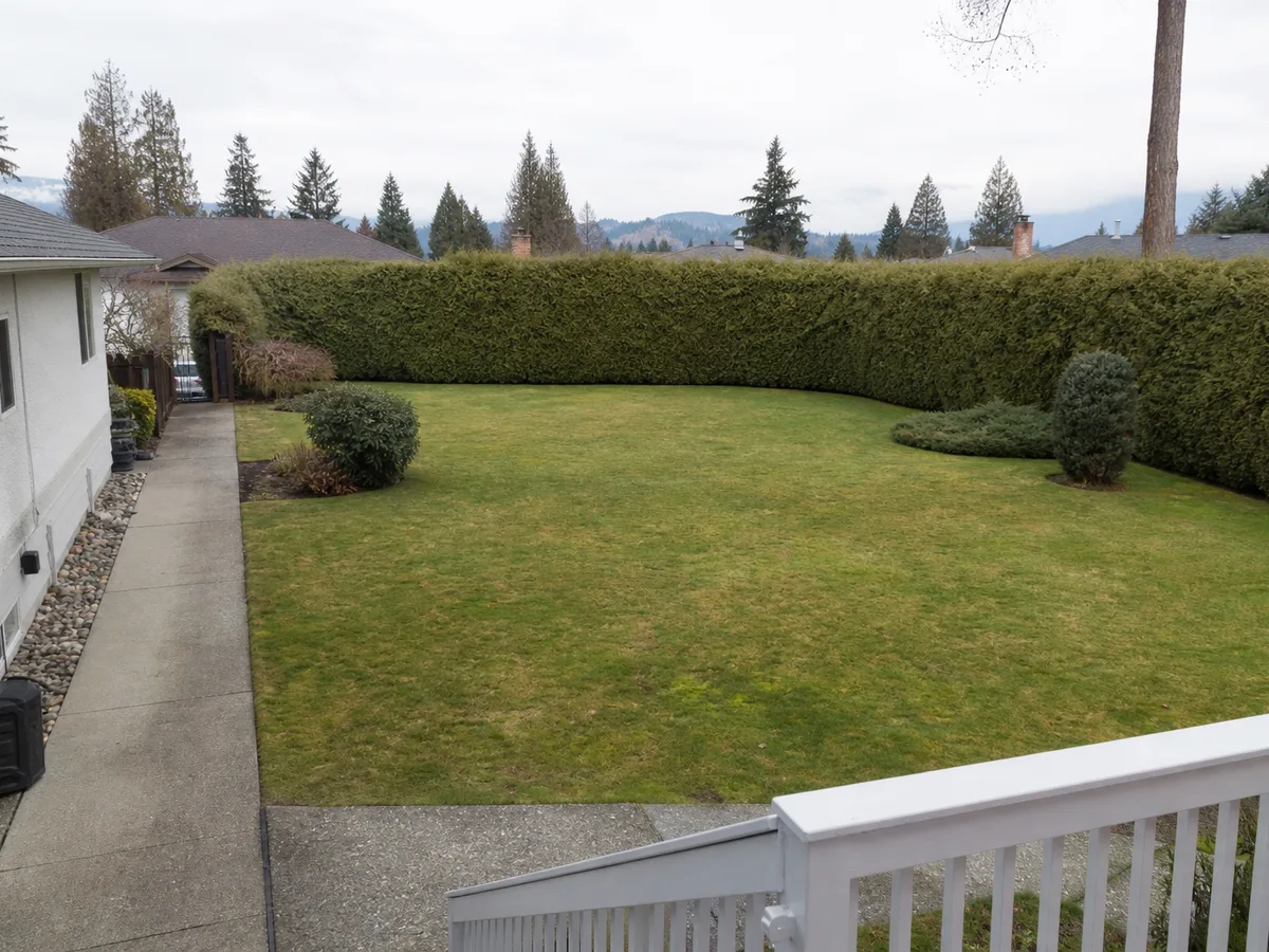 Large empty backyard lawn before the garden home was built, Coquitlam