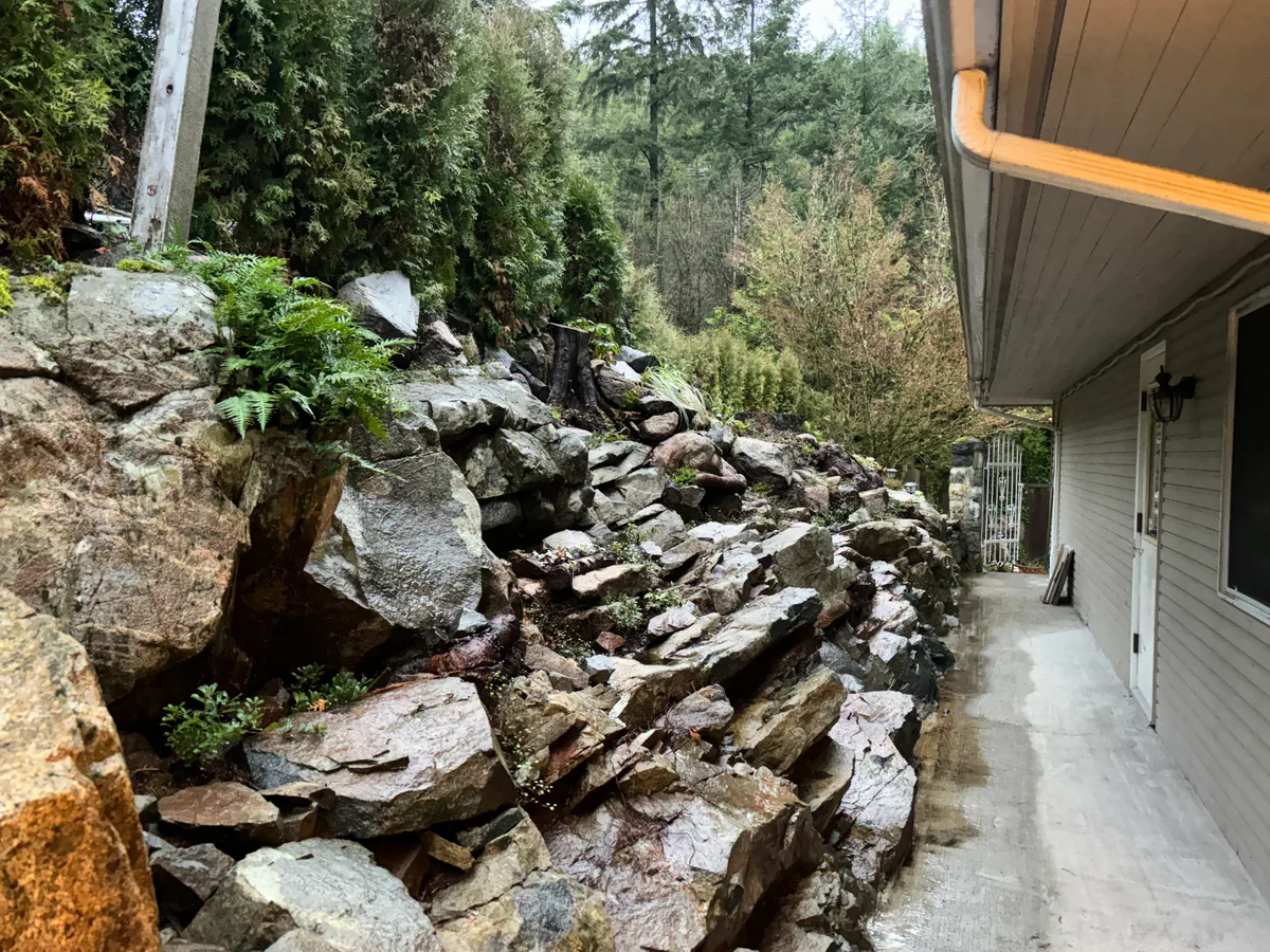 West Vancouver Garden Pond, Paths & Night Lighting — before — Same side rockery and walkway unfinished, then completed path toward the pond with trellis and hedge backdrop.
